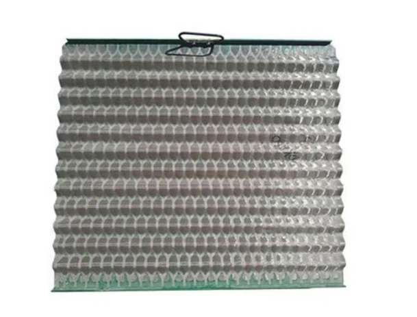 1731314126029 1731314126029